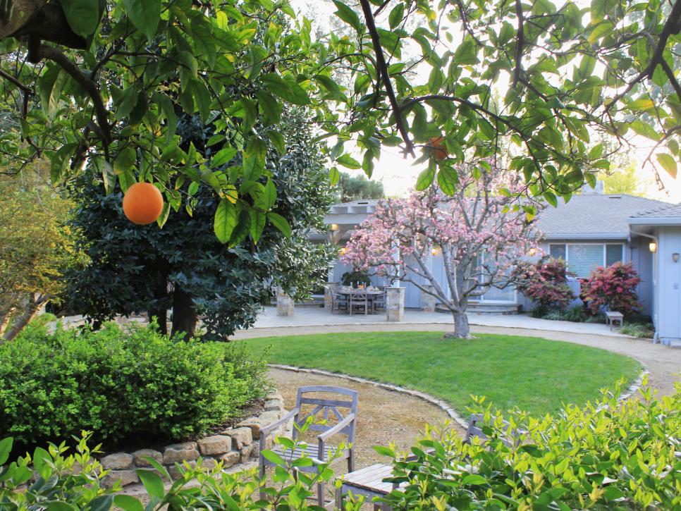 Lush Backyard With Circular Walkway, Orange Tree, Stone Retaining Wall