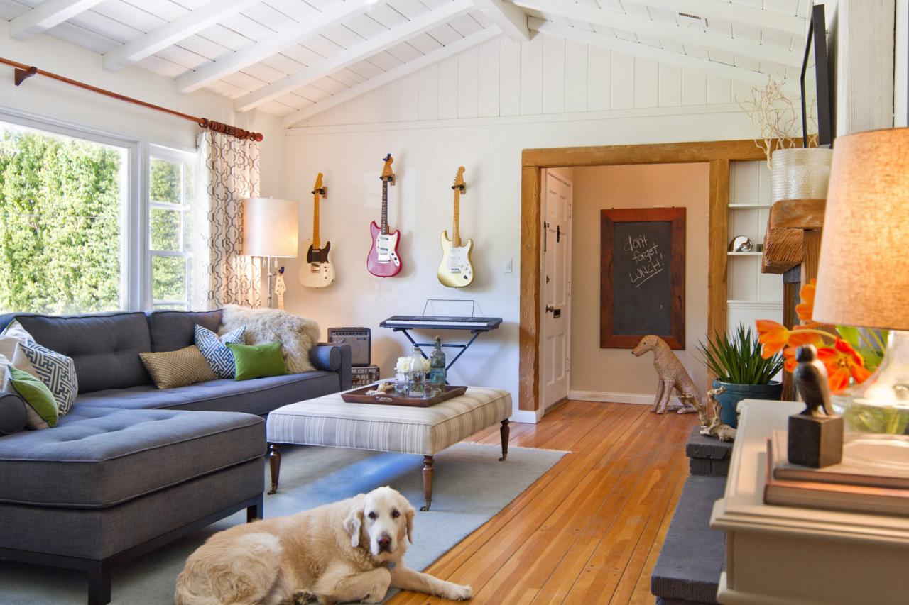 living room dog ideas