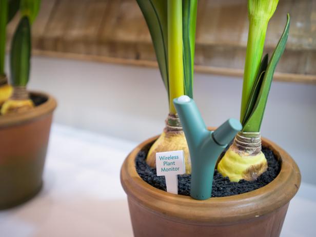 Wireless Plant Water Monitor Wireless Plant Water Monitor