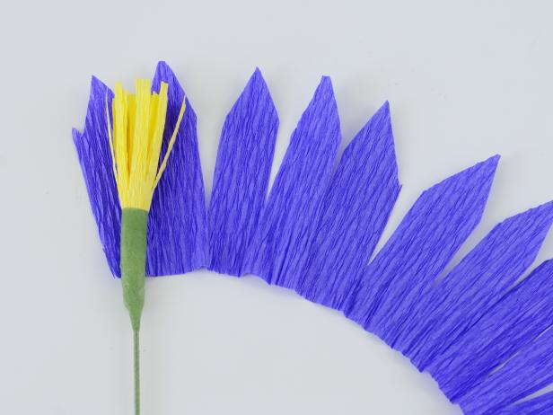Line up the stamen with the edge of the petals.