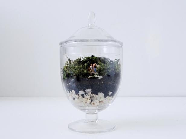 Kids' Craft: Terrarium With Miniature Figures
