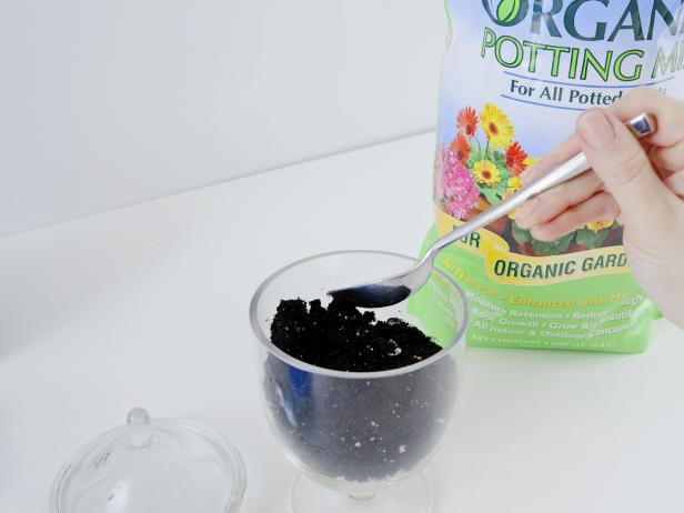 Add as many inches of soil as your terrarium vessel allows. The soil should not reach higher than three inches from the top edge of the vessel. Create mountains and valleys with the soil using a spoon.