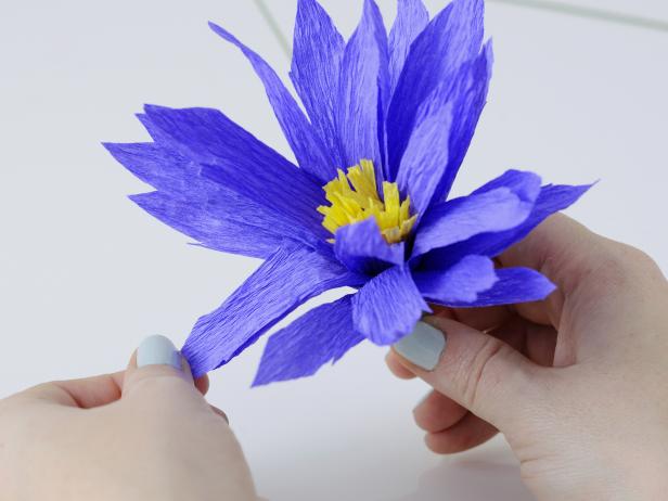 To add the finishing touch on this crepe paper daisy pull down the petals so the stamen is visible.