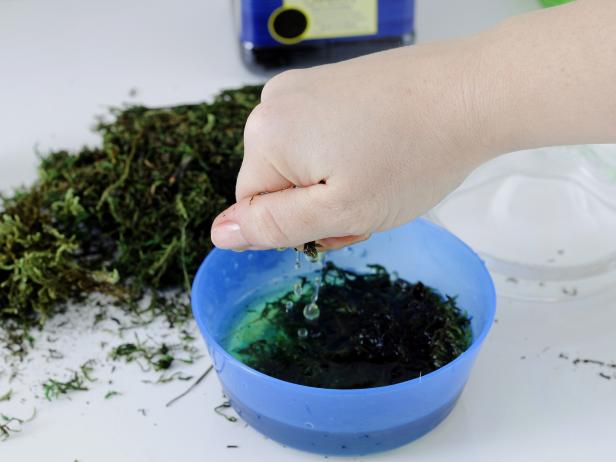 After soaking the moss for your terrarium in a water-filled bowl, squeeze out the extra water.