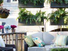 Deck With Fern Planter Boxes