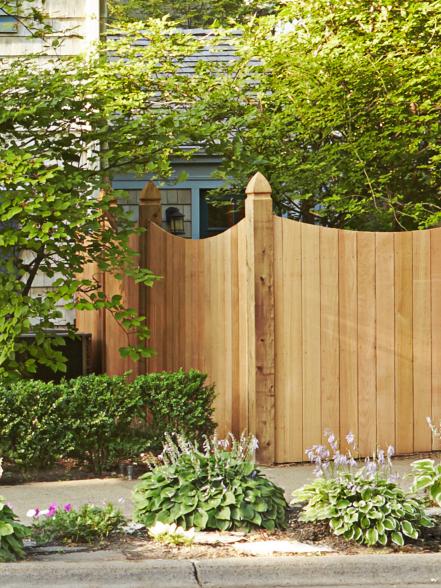 Cedar Fence