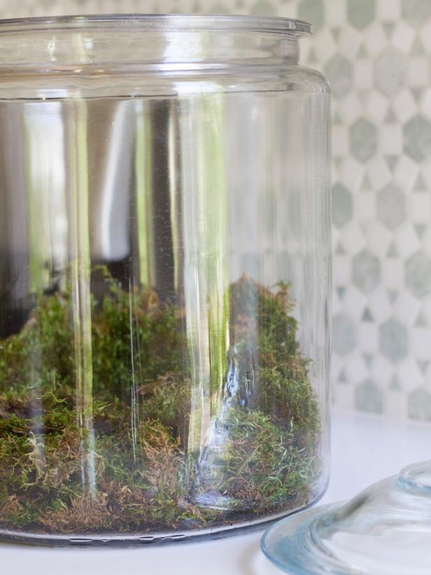 To create a spooky Halloween terrarium, add a 3-4" layer of sheet moss to the bottom of a large clear, lidded jar. Measure the height and width of the inside of the jar. Based on the dimensions, cut the shape of a haunted house out of a piece of black tag board, and then use a white paint pen to outline the windows and doors. Insert house into the moss and use clear tape to secure it to the back of the jar. Insert twigs into the moss to act as spooky, leafless trees.