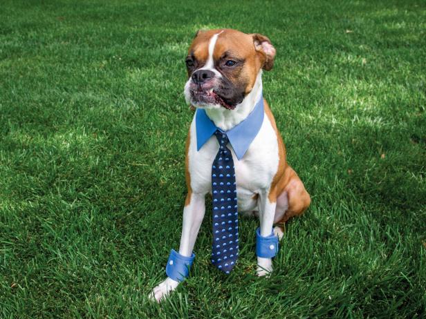 Handmade Pet Halloween Business Man Costume Handmade Pet Halloween Business Man Costume