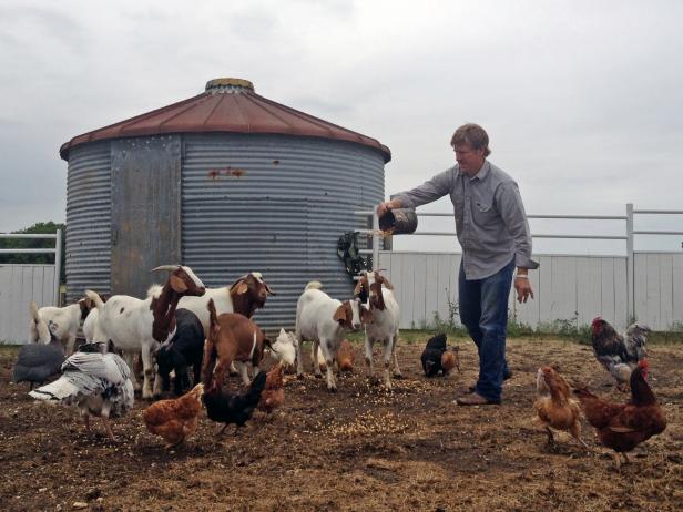 Chip Gaines Feeding Goats and Chickens Chip Gaines Feeding Goats and Chickens