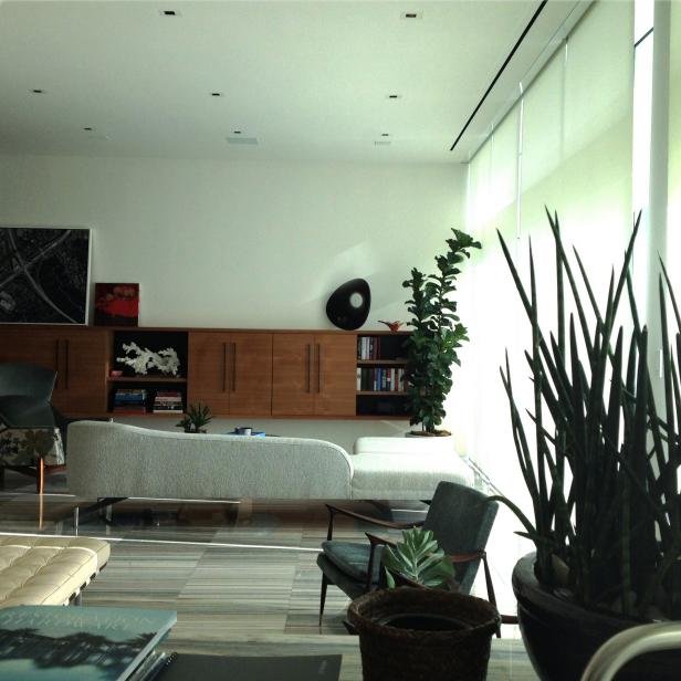 Sleek Modern Living Space Filled With Indoor Plants Sleek Modern Living Space Filled With Indoor Plants