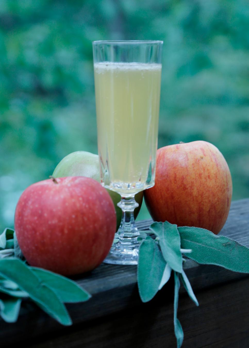 The Good Apple Cocktail apple cider cocktail