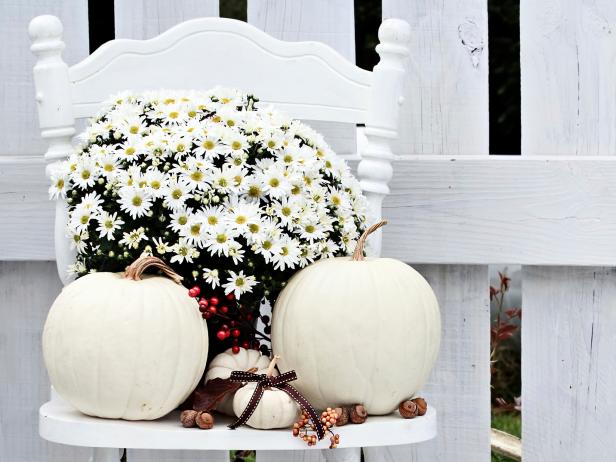 White Pumpkins and Mums White Pumpkins and Mums