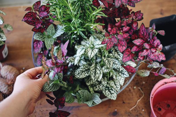 Add Plants Add Plants