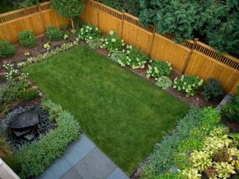 A Backyard with Mulched Areas