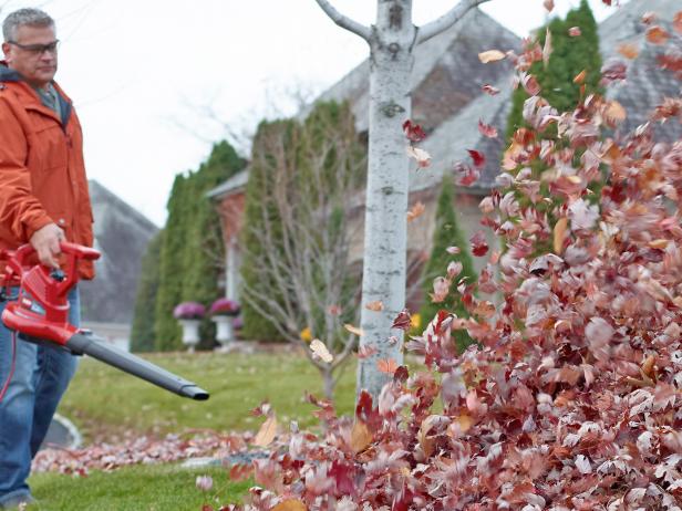 Powerful Leaf Blower blower vac