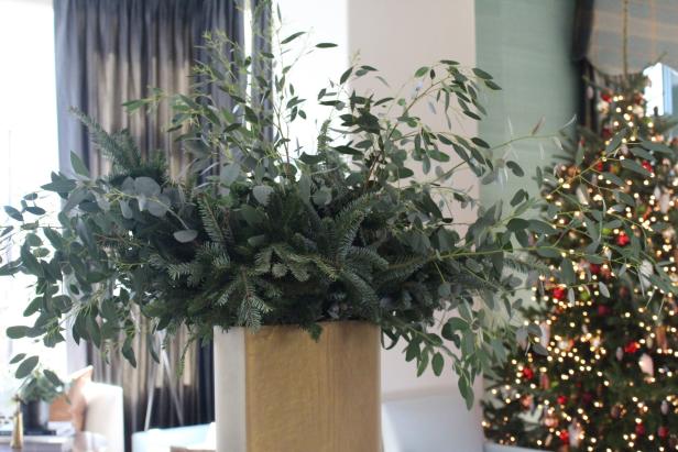 Eucalyptus and Evergreens Eucalyptus and Evergreens