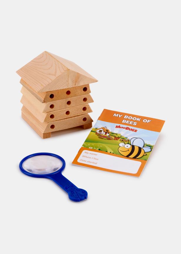 Bee House Bee House