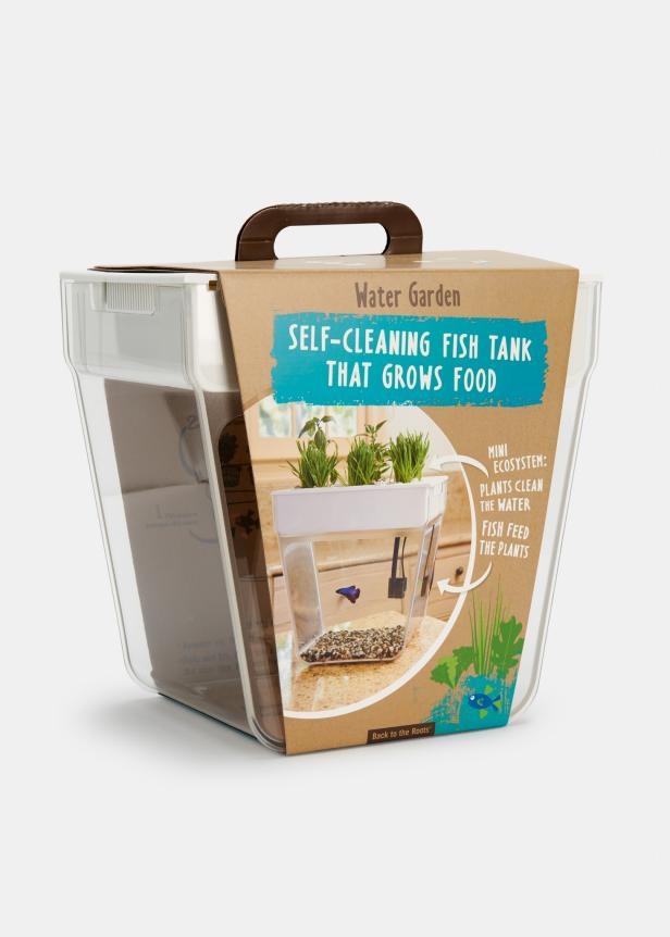 An Aquaponic Garden for Kids An Aquaponic Garden for Kids