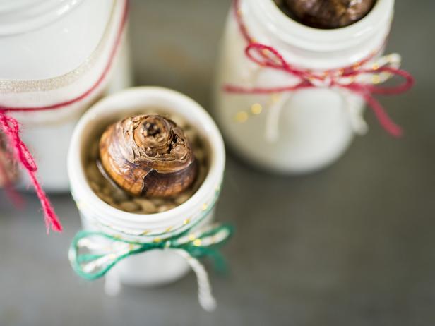 Flower Bulbs Hostess Gift Flower Bulbs Hostess Gift