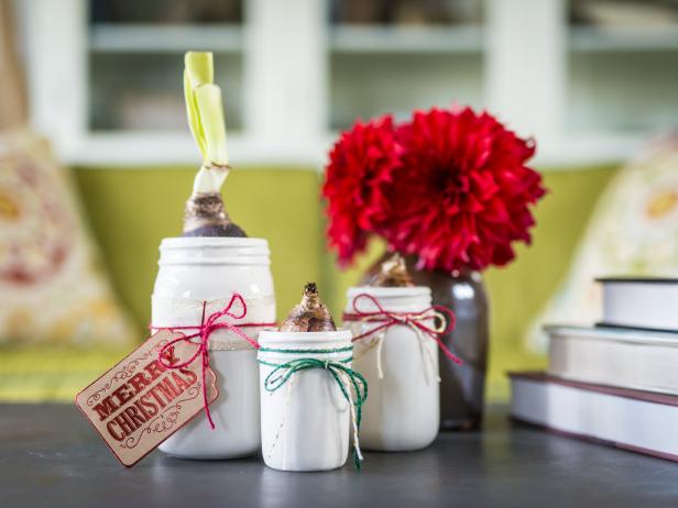 Flower Bulb Gift Flower Bulb Gift
