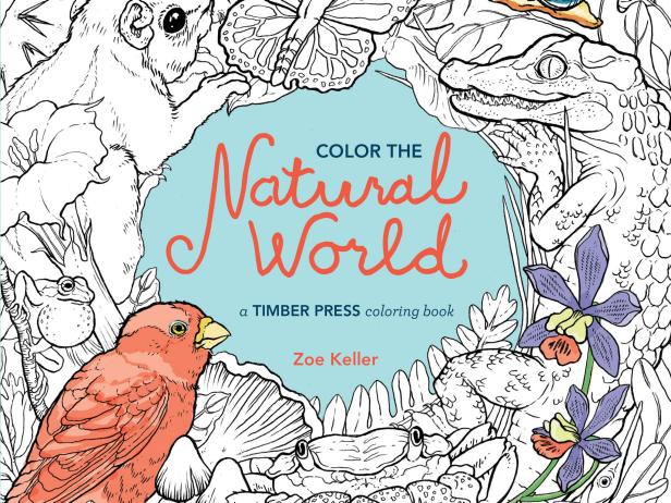 Grown-Up Coloring Book Grown-Up Coloring Book
