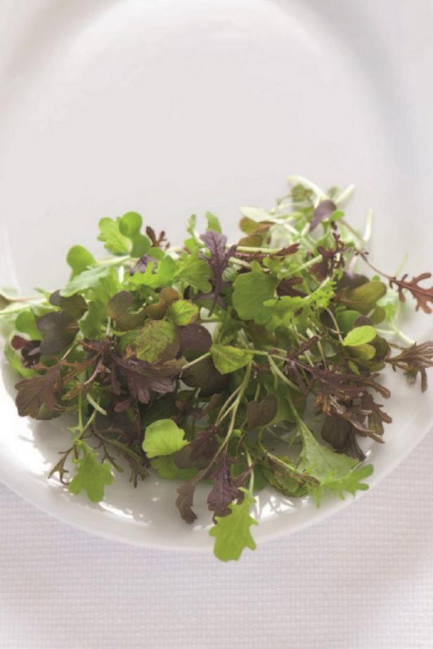 Spicy Micro Greens Spicy salad greens