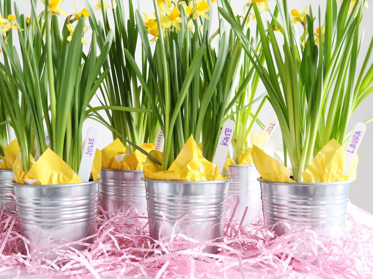 Was spring party ideas adult Share spring party ideas adult cleared