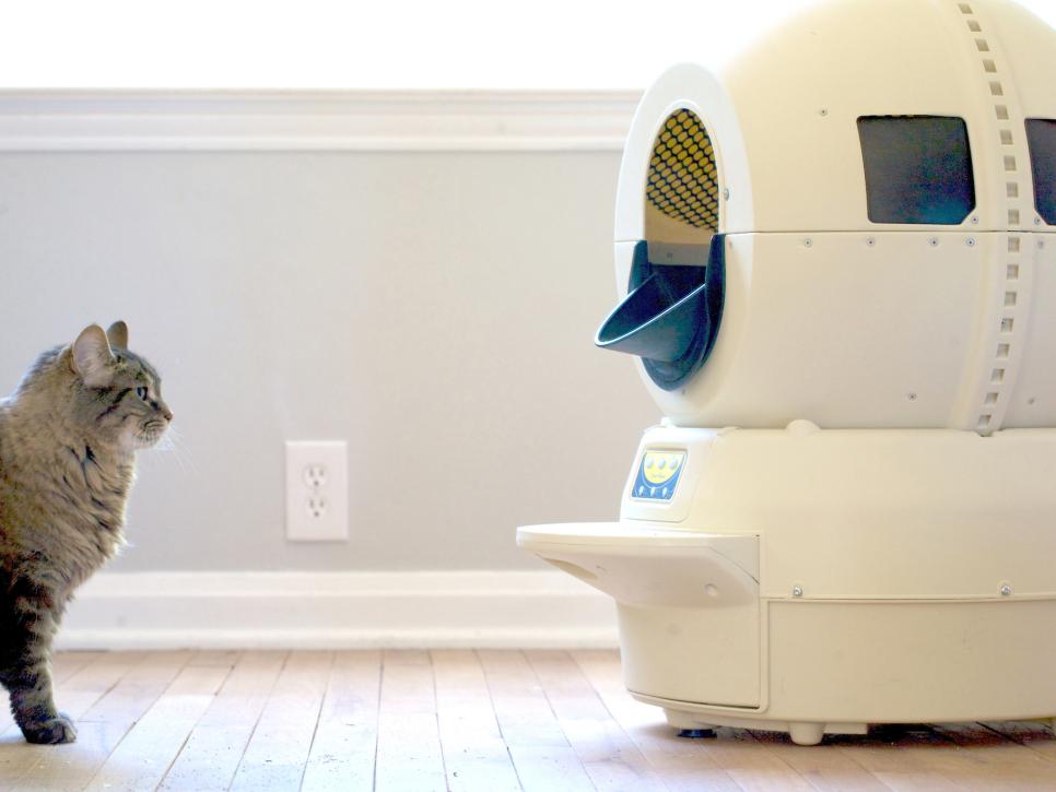 9 Cleaning Robots That Will Do Your Chores HGTV