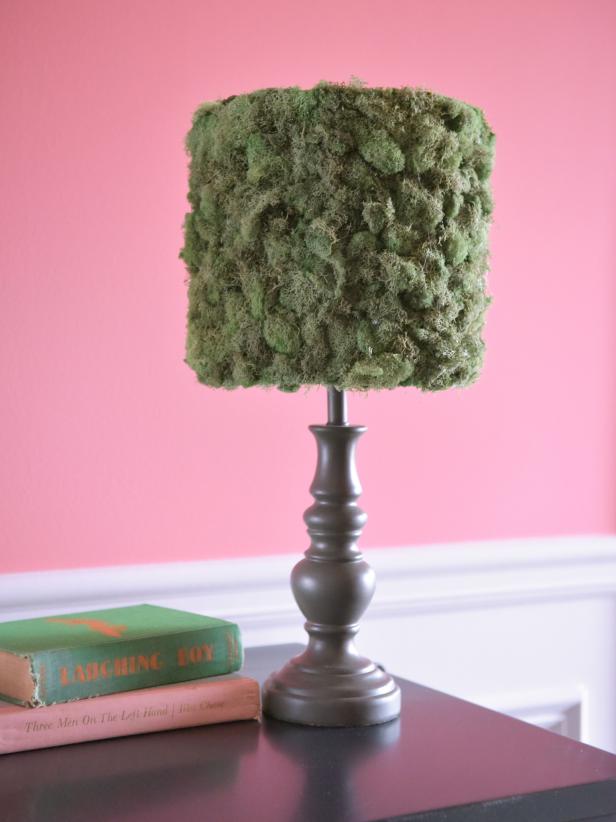 Decorative Moss Crafts HGTV