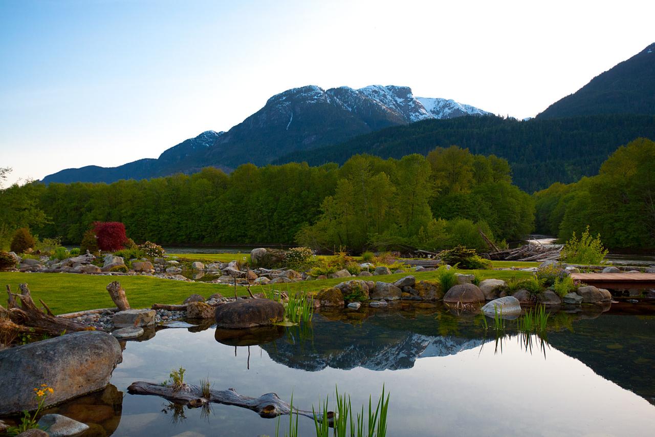 Backyard Pond and Stream With Stunning Mountain View | HGTV