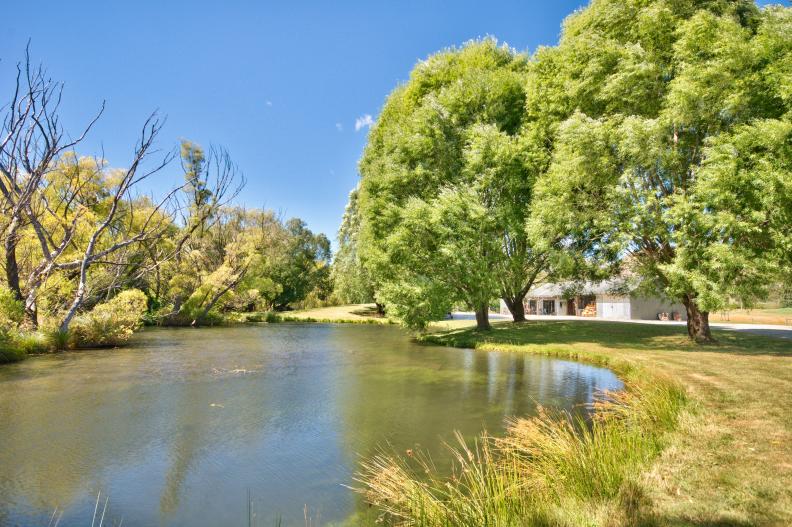 Countryside Pond With Surrounding Trees