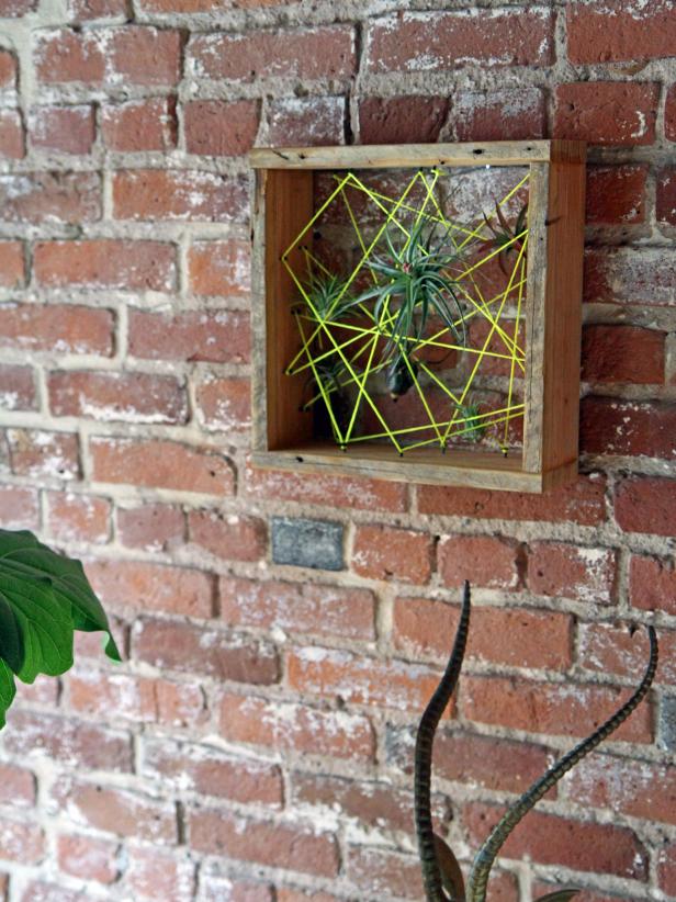Make an air plant container with wood planks, neon string and carpet tacks.