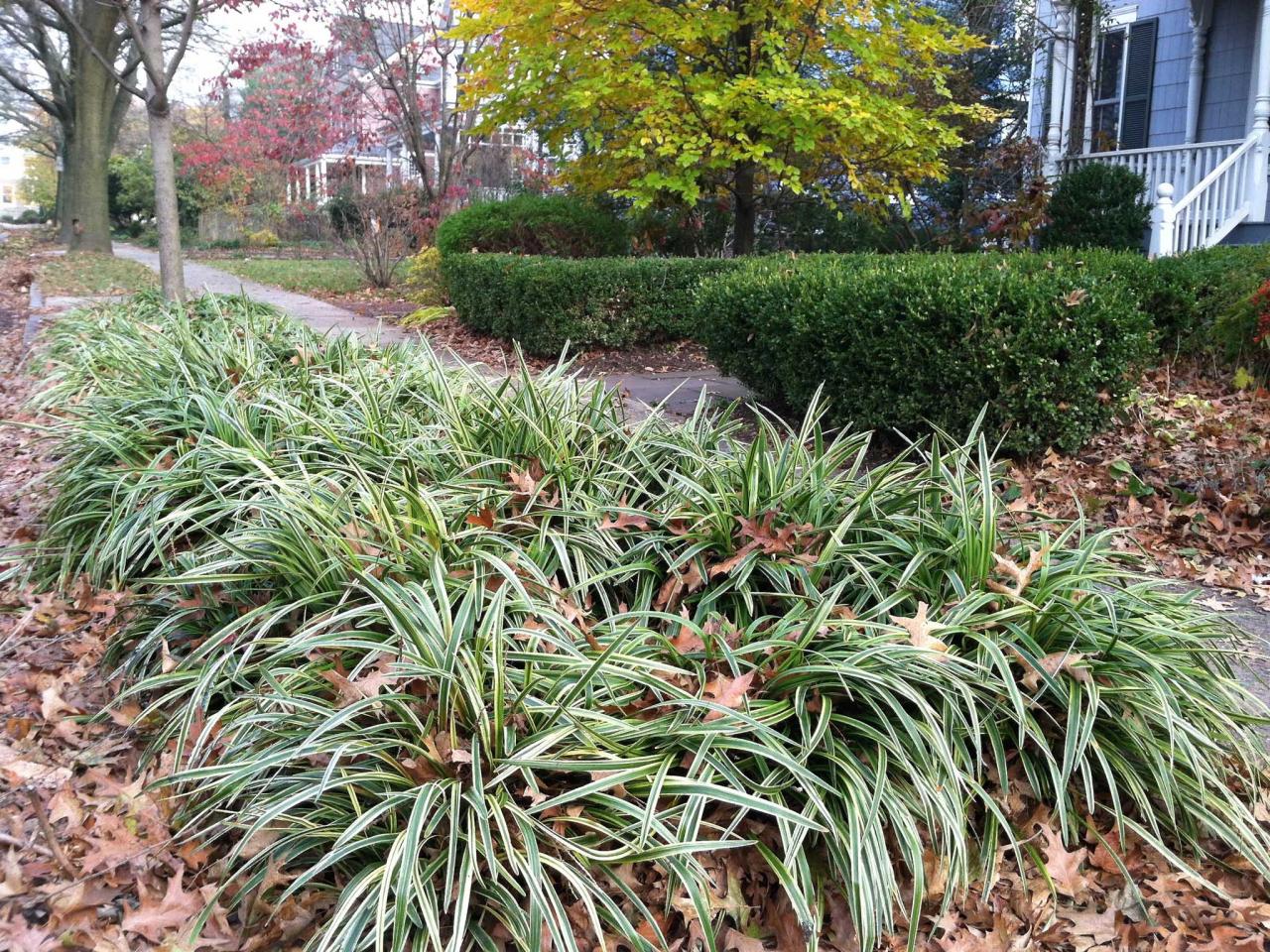 Ways to Improve the Hellstrip Outdoor Spaces Patio Ideas, Decks