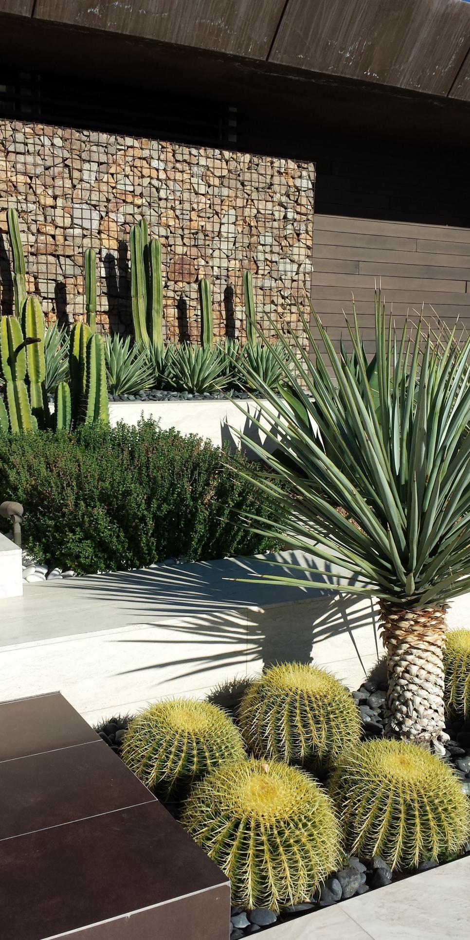 Brown Gabion Wall Accentuates the Greenness of the Plants Greenness of Plants Accentuated by Brown Gabion Wall