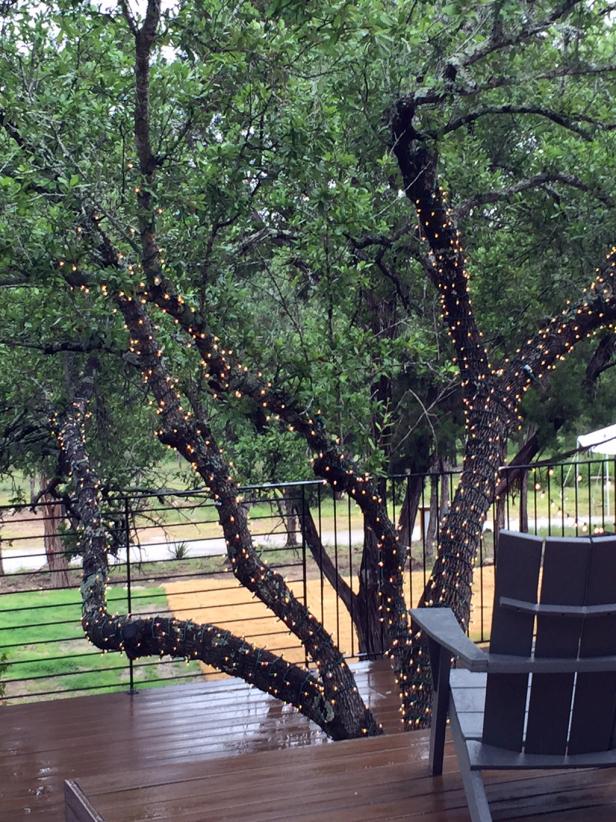 Deck With Tree and String Lights Deck With Tree and String Lights