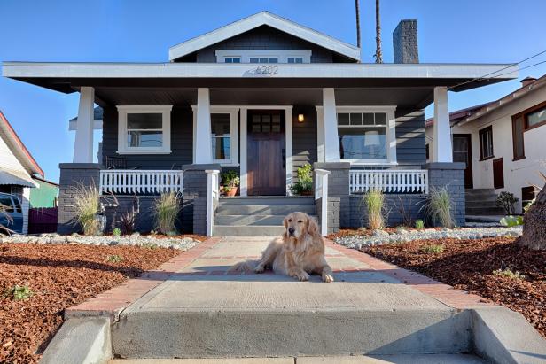 Gray and White Craftsman Exterior and Dog Gray and White Craftsman Exterior and Dog