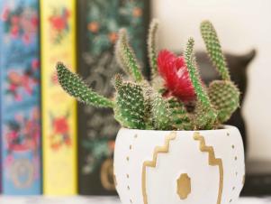 9 Thrift Store Decorating Ideas for Dorm Rooms