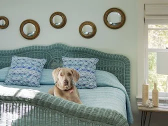 Neutral Bedroom with Light-Blue Wicker Bed.
