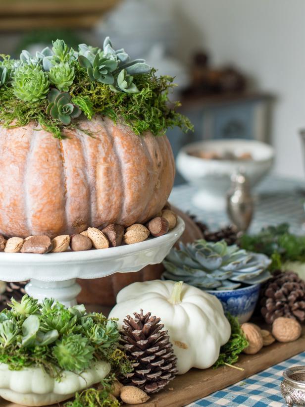Live Succulent Pumpkin Centerpiece Live Succulent Pumpkin Centerpiece