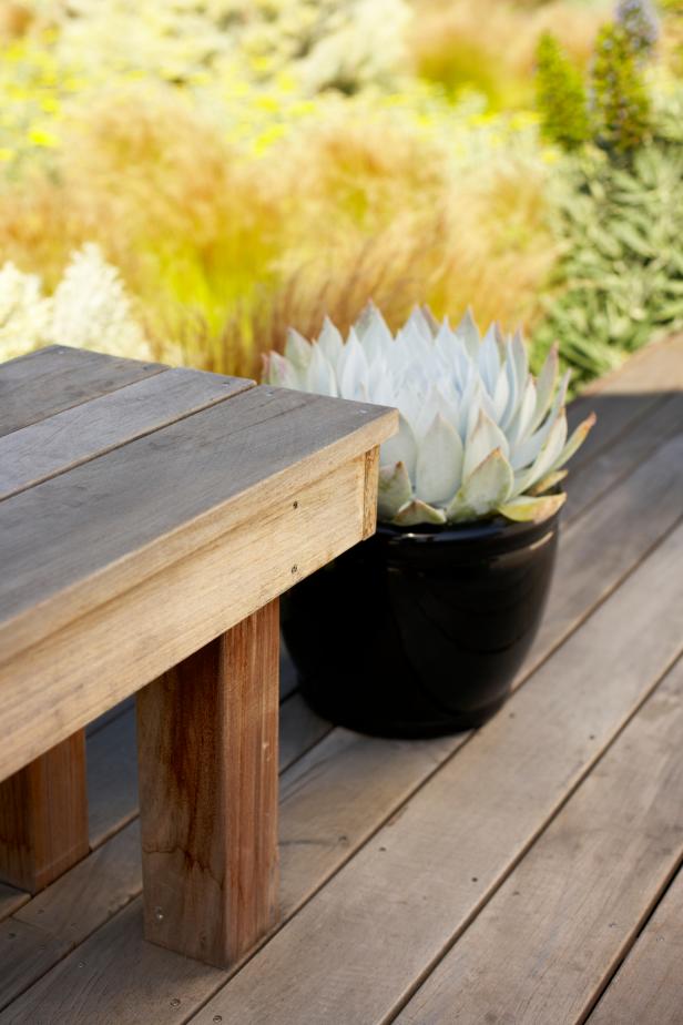 Wood Deck and Bench with Succulent in Black Ceramic Pot Wood Deck and Bench with Succulent in Black Ceramic Pot