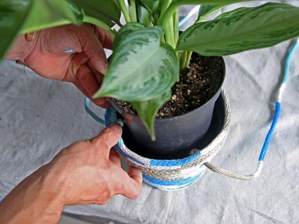 Insert the 4" potted plant into the rope base.