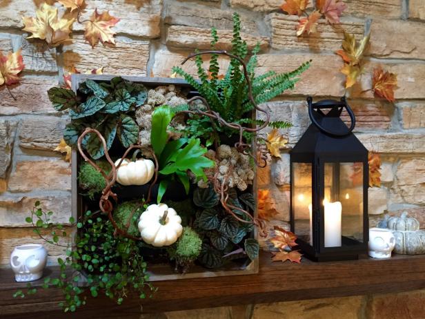 Indoor Vertical Planter Indoor Vertical Planter