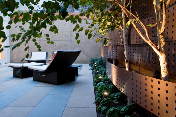 Copper Garden Wall Weaved With Birch Trees With Row of Succulents and Landscape Lighting on Asian Patio Copper Garden Wall Weaved With Birch Trees With Row of Succulents and Landscape Lighting on Asian Patio