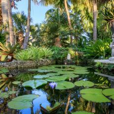 Tropical Garden with Koi Pond