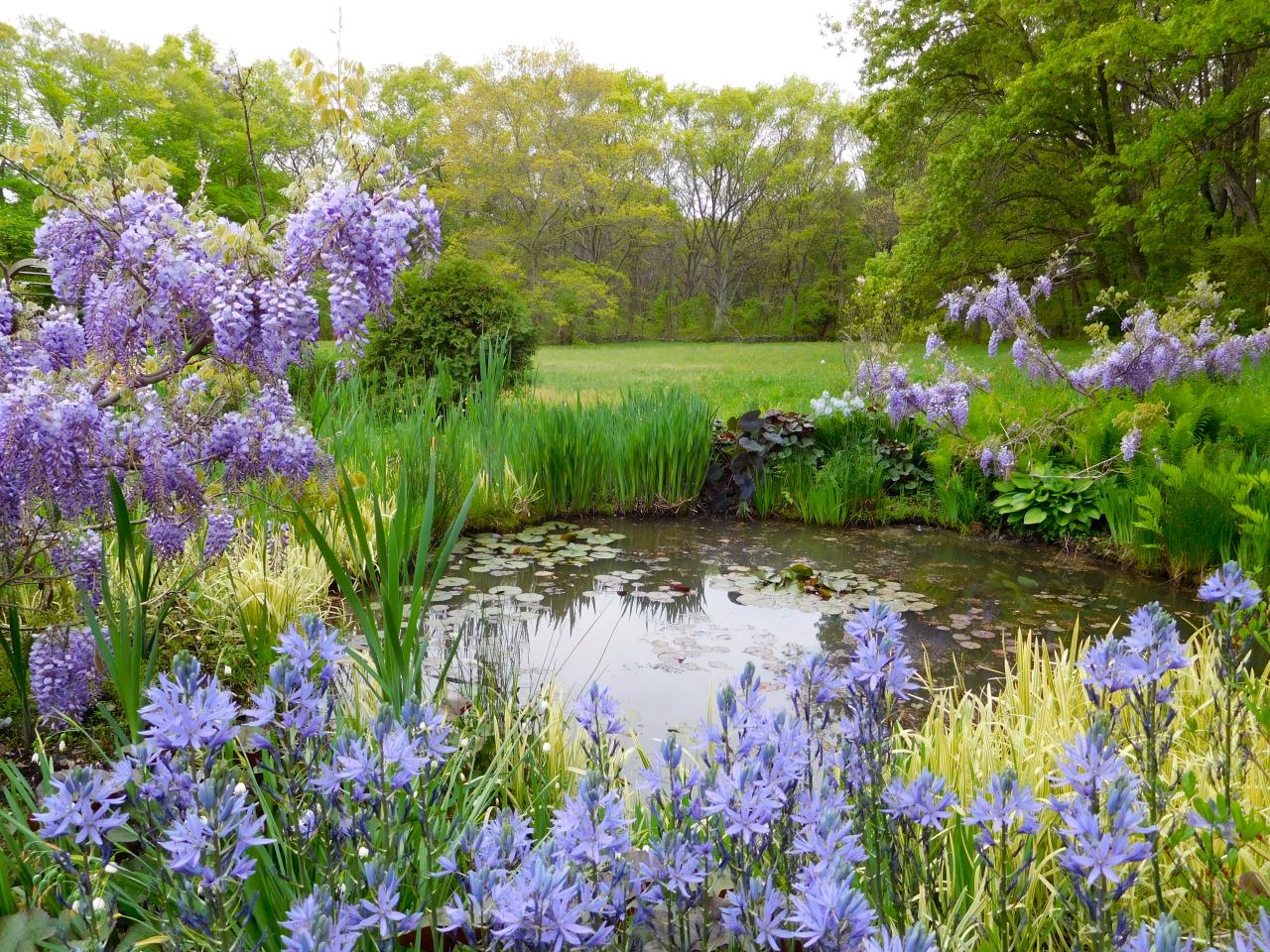 Cottage Garden Photos  HGTV