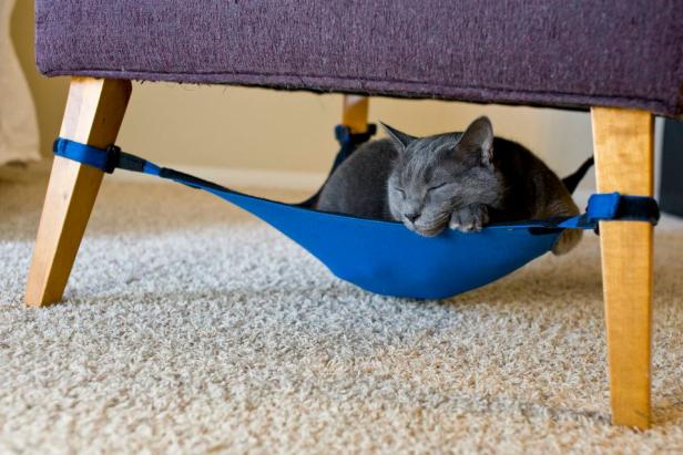 Cat Hammock Cat Hammock