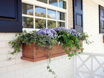 Window Box With Pansies
