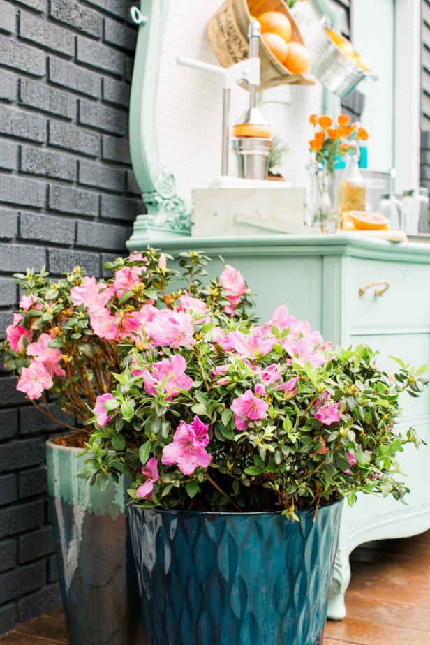 HGTV Spring House 2016: Container Plants With Spring Blooms