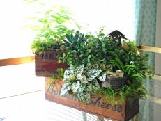 Green Potted Fairy Garden