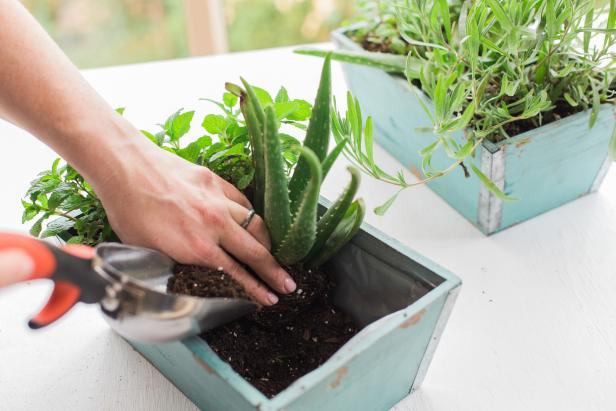 DIY Portable Herb Garden DIY Portable Herb Garden